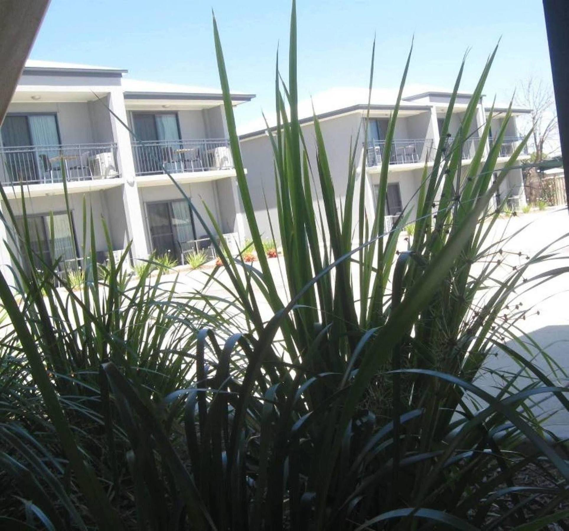 Royal Motel Miles Bagian luar foto